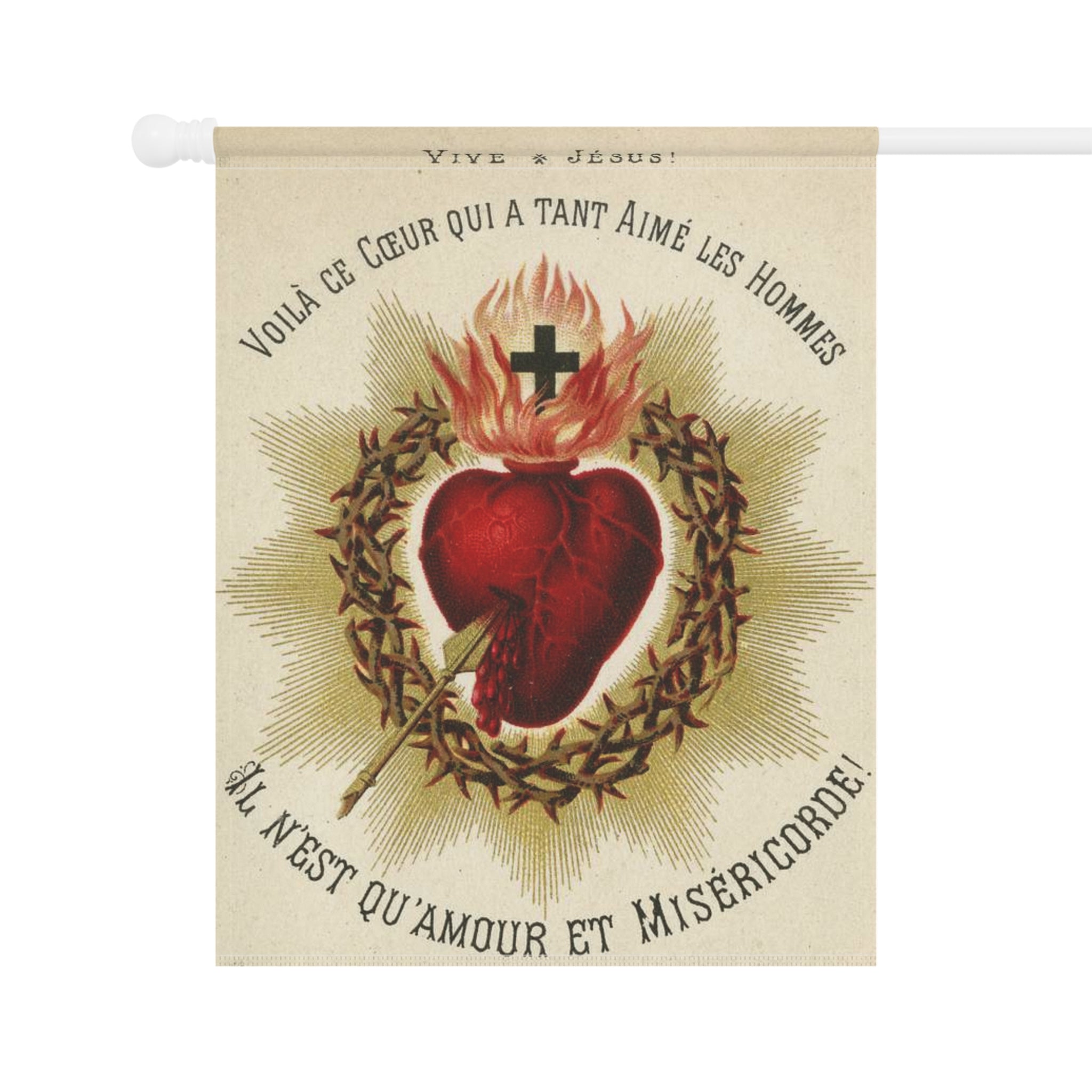 15396584055011508456_2048.jpg?